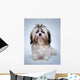 Shih Tzu Dog Wall Decal