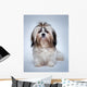 Shih Tzu Dog Wall Decal