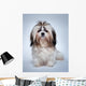 Shih Tzu Dog Wall Decal
