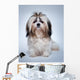 Shih Tzu Dog Wall Decal