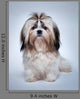 Shih Tzu Dog Wall Decal