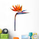 Strelitzia Reginae Wall Decal