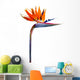 Strelitzia Reginae Wall Decal
