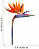 Strelitzia Reginae Wall Decal