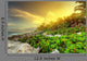 Sunset Jungle Caribbean Sea Wall Decal