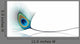 Spa Beauty Banner Wall Decal