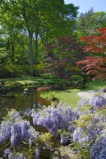 Japanese Garden Wall Decal