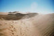 Tracks Sand Desert Wall Decal