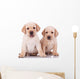 Two Little Labrador Retriever Puppies Wall Decal