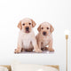 Two Little Labrador Retriever Puppies Wall Decal