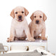 Two Little Labrador Retriever Puppies Wall Decal
