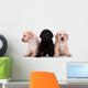 Three Little Labrador Retriever Puppies Wall Decal