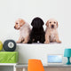 Three Little Labrador Retriever Puppies Wall Decal