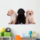 Three Little Labrador Retriever Puppies Wall Decal