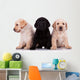 Three Little Labrador Retriever Puppies Wall Decal