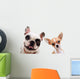 Chihuahua And French Bull Wall Decal