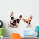 Chihuahua And French Bull Wall Decal