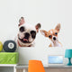 Chihuahua And French Bull Wall Decal