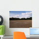 Baseball Field Wall Decal