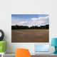 Baseball Field Wall Decal