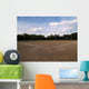 Baseball Field Wall Decal