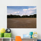 Baseball Field Wall Decal