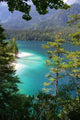Alpine Beaches Wall Decal