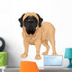 English Mastiff Wall Decal