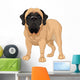 English Mastiff Wall Decal