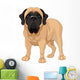 English Mastiff Wall Decal