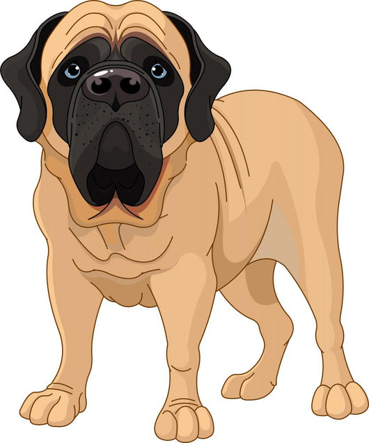 English Mastiff Wall Decal