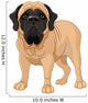 English Mastiff Wall Decal