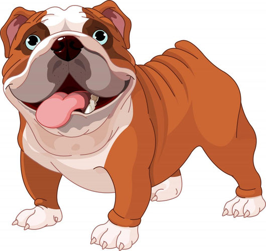 English Bulldog Wall Decal