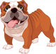 English Bulldog Wall Decal