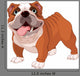 English Bulldog Wall Decal
