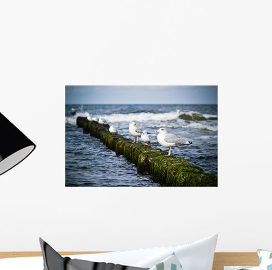 Seagulls Breakwater Wall Decal