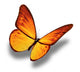 Yellow Butterfly White Wall Decal