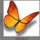 Yellow Butterfly White Wall Decal