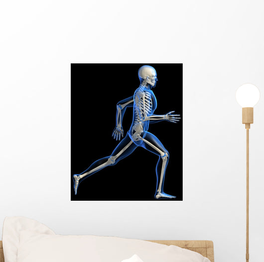 Anatomy Running Skeleton Wall Decal