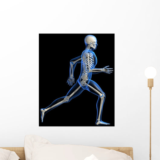Anatomy Running Skeleton Wall Decal