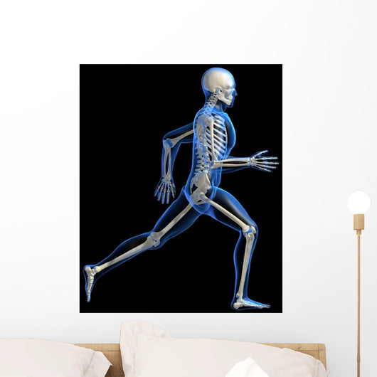 Anatomy Running Skeleton Wall Decal