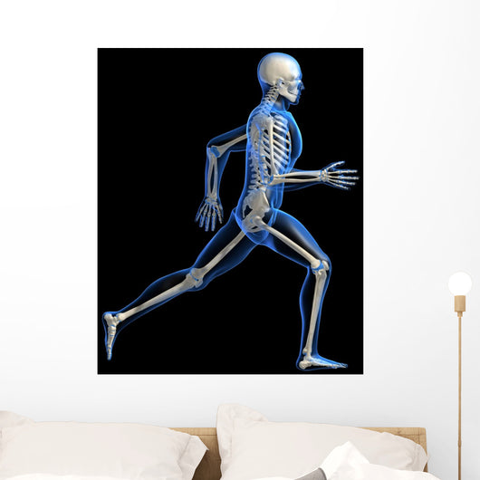 Anatomy Running Skeleton Wall Decal