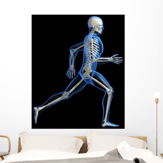 Anatomy Running Skeleton Wall Decal