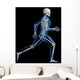 Anatomy Running Skeleton Wall Decal