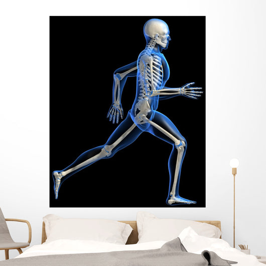 Anatomy Running Skeleton Wall Decal