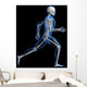 Anatomy Running Skeleton Wall Decal