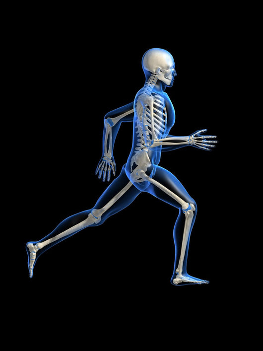Anatomy Running Skeleton Wall Decal
