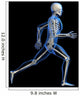 Anatomy Running Skeleton Wall Decal