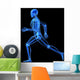 Running Skeleton Anatomy Wall Decal