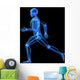 Running Skeleton Anatomy Wall Decal